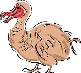 各種鳥類 鳥 動物 矢量素材 EPS格式_0604
