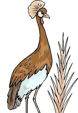 各種鳥類 鳥 動物 矢量素材 EPS格式_0597