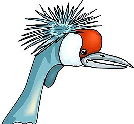 各種鳥類 鳥 動物 矢量素材 EPS格式_0594