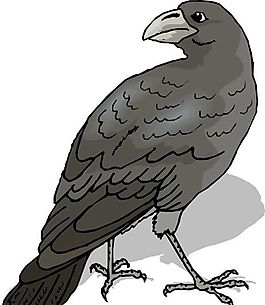 各種鳥類 鳥 動(dòng)物 矢量素材 EPS格式_0587