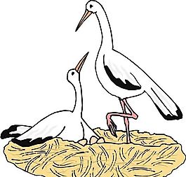 各種鳥(niǎo)類 鳥(niǎo) 動(dòng)物 矢量素材 EPS格式_0581