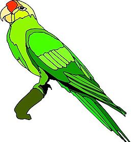各種鳥(niǎo)類(lèi) 鳥(niǎo) 動(dòng)物 矢量素材 EPS格式_0550