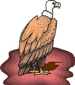 各種鳥類 鳥 動物 矢量素材 EPS格式_0546