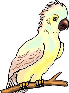 各種鳥類 鳥 動(dòng)物 矢量素材 EPS格式_0531