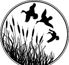 各種鳥類 鳥 動物 矢量素材 EPS格式_0517