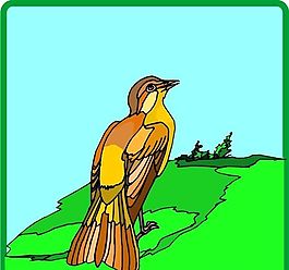各種鳥(niǎo)類 鳥(niǎo) 動(dòng)物 矢量素材 EPS格式_0490