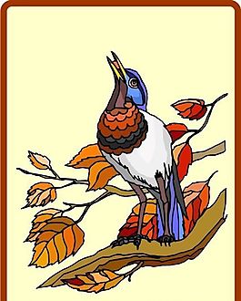 各種鳥類 鳥 動(dòng)物 矢量素材 EPS格式_0477