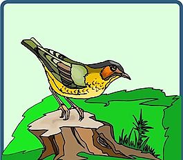各種鳥類 鳥 動(dòng)物 矢量素材 EPS格式_0464