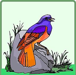 各種鳥類 鳥 動(dòng)物 矢量素材 EPS格式_0461