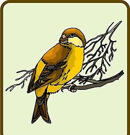 各種鳥類 鳥 動物 矢量素材 EPS格式_0457