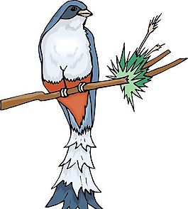 各種鳥類 鳥 動物 矢量素材 EPS格式_0447