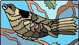 各種鳥類 鳥 動(dòng)物 矢量素材 EPS格式_0426