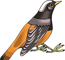 各種鳥類 鳥 動(dòng)物 矢量素材 EPS格式_0405