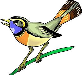 各種鳥(niǎo)類(lèi) 鳥(niǎo) 動(dòng)物 矢量素材 EPS格式_0397