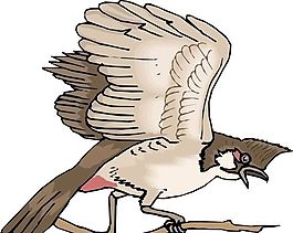 各種鳥類 鳥 動物 矢量素材 EPS格式_0391