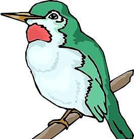 各種鳥類 鳥 動物 矢量素材 EPS格式_0389