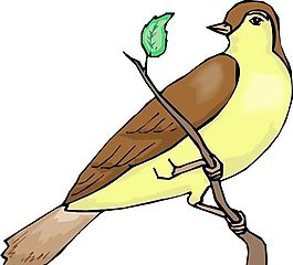 各種鳥類 鳥 動(dòng)物 矢量素材 EPS格式_0386