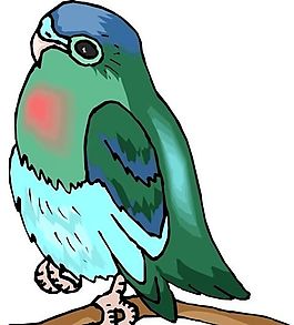 各種鳥類 鳥 動(dòng)物 矢量素材 EPS格式_0377