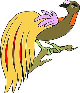 各種鳥類 鳥 動物 矢量素材 EPS格式_0346