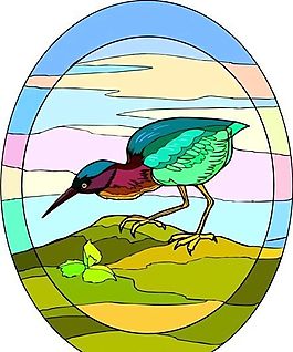 各種鳥類 鳥 動(dòng)物 矢量素材 EPS格式_0323