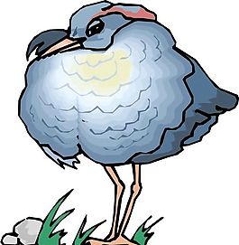 各種鳥類 鳥 動物 矢量素材 EPS格式_0196