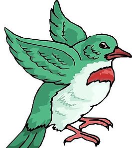 各種鳥類 鳥 動(dòng)物 矢量素材 EPS格式_0195