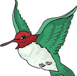 各種鳥類 鳥 動物 矢量素材 EPS格式_0194