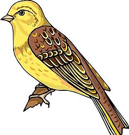 各種鳥(niǎo)類 鳥(niǎo) 動(dòng)物 矢量素材 EPS格式_0183