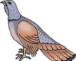 各種鳥類 鳥 動物 矢量素材 EPS格式_0175