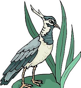 各種鳥類 鳥 動物 矢量素材 EPS格式_0174