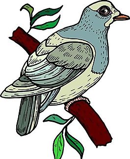 各種鳥(niǎo)類 鳥(niǎo) 動(dòng)物 矢量素材 EPS格式_0094