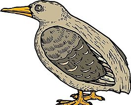 各種鳥(niǎo)類 鳥(niǎo) 動(dòng)物 矢量素材 EPS格式_0091