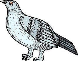 各種鳥類 鳥 動物 矢量素材 EPS格式_0089