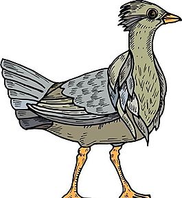 各種鳥(niǎo)類 鳥(niǎo) 動(dòng)物 矢量素材 EPS格式_0088