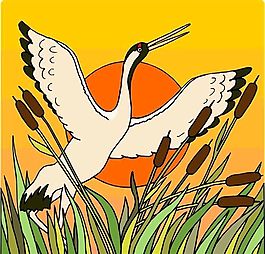 各種鳥類 鳥 動物 矢量素材 EPS格式_0066