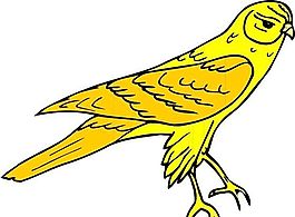 各種鳥類 鳥 動物 矢量素材 EPS格式_0060