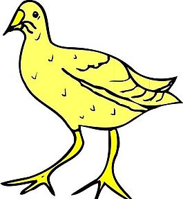 各種鳥(niǎo)類 鳥(niǎo) 動(dòng)物 矢量素材 EPS格式_0051