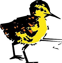 各種鳥(niǎo)類 鳥(niǎo) 動(dòng)物 矢量素材 EPS格式_0020