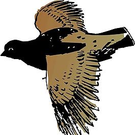 各種鳥(niǎo)類 鳥(niǎo) 動(dòng)物 矢量素材 EPS格式_0019