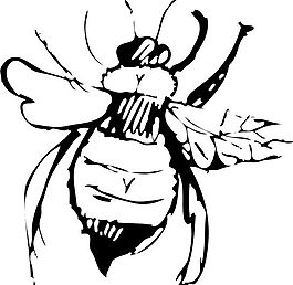 蜜蜂 矢量素材 EPS格式_0006