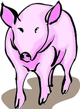 家禽家畜 動物 矢量素材 EPS格式_0240