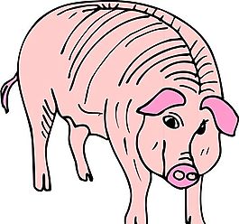 家禽家畜 動物 矢量素材 EPS格式_0238