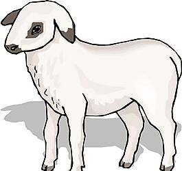 家禽家畜 動物 矢量素材 EPS格式_0209