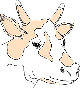家禽家畜 動物 矢量素材 EPS格式_0143