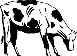 家禽家畜 動物 矢量素材 EPS格式_0128