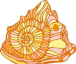 貝殼 水生動物 矢量素材 EPS格式_0060