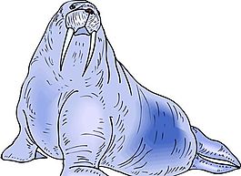 海洋動物 水生動物 矢量素材 EPS格式_0135