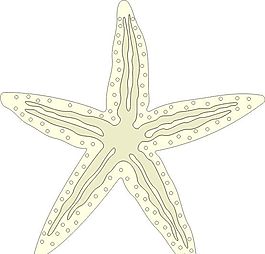 海星 水生動(dòng)物 矢量素材 EPS格式_0014