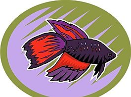 五彩小魚 水生動物 矢量素材 EPS格式_0734