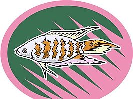 五彩小魚 水生動(dòng)物 矢量素材 EPS格式_0733